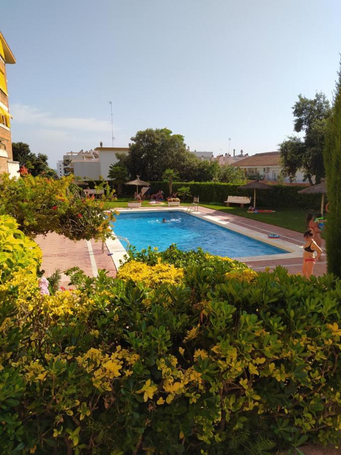 Sunsea Lloret Apartament リョレート・デ・マル エクステリア 写真